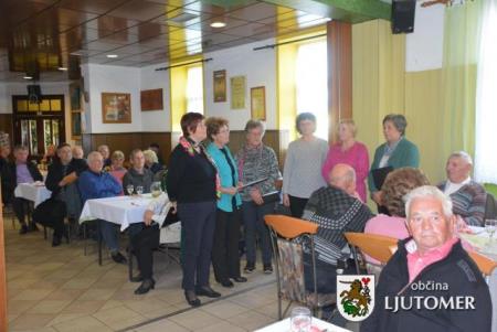 Starejši Mala Nedelja8